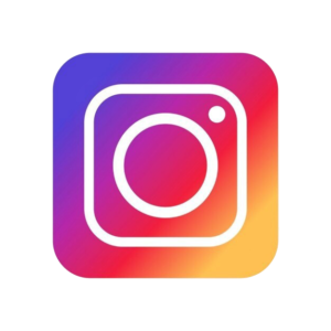 icone instagram