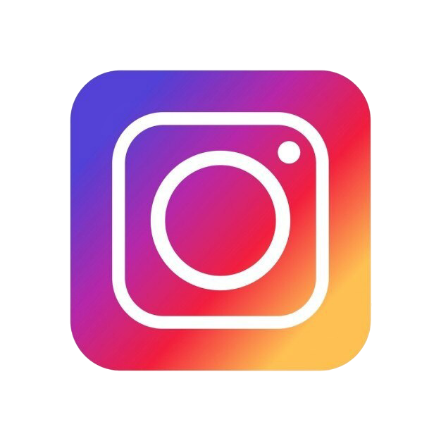 icone instagram